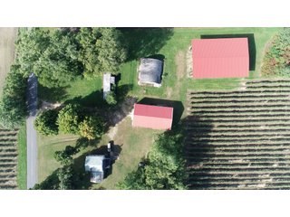 Barn in Van Buren County, Michigan - LAND AUCTION - 300+/- ACRES SPECIALTY CROP - GRAPES AND HOPS - OFFERED IN 8 TRACTS IN VAN BUREN COUNTY, MICHIGAN